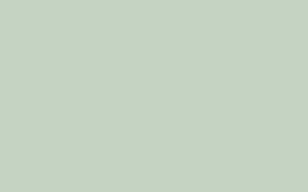 Little Greene - 99. Salix
