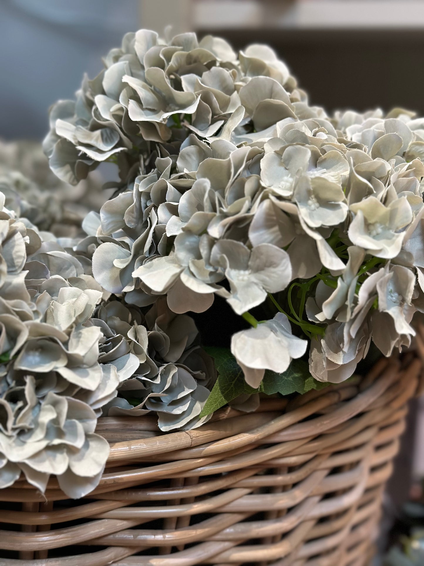 SAGE GREEN HYDRANGEA BUNCH