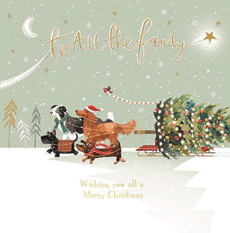 TO ALL THE FAMILY CHRISTMAS CARD