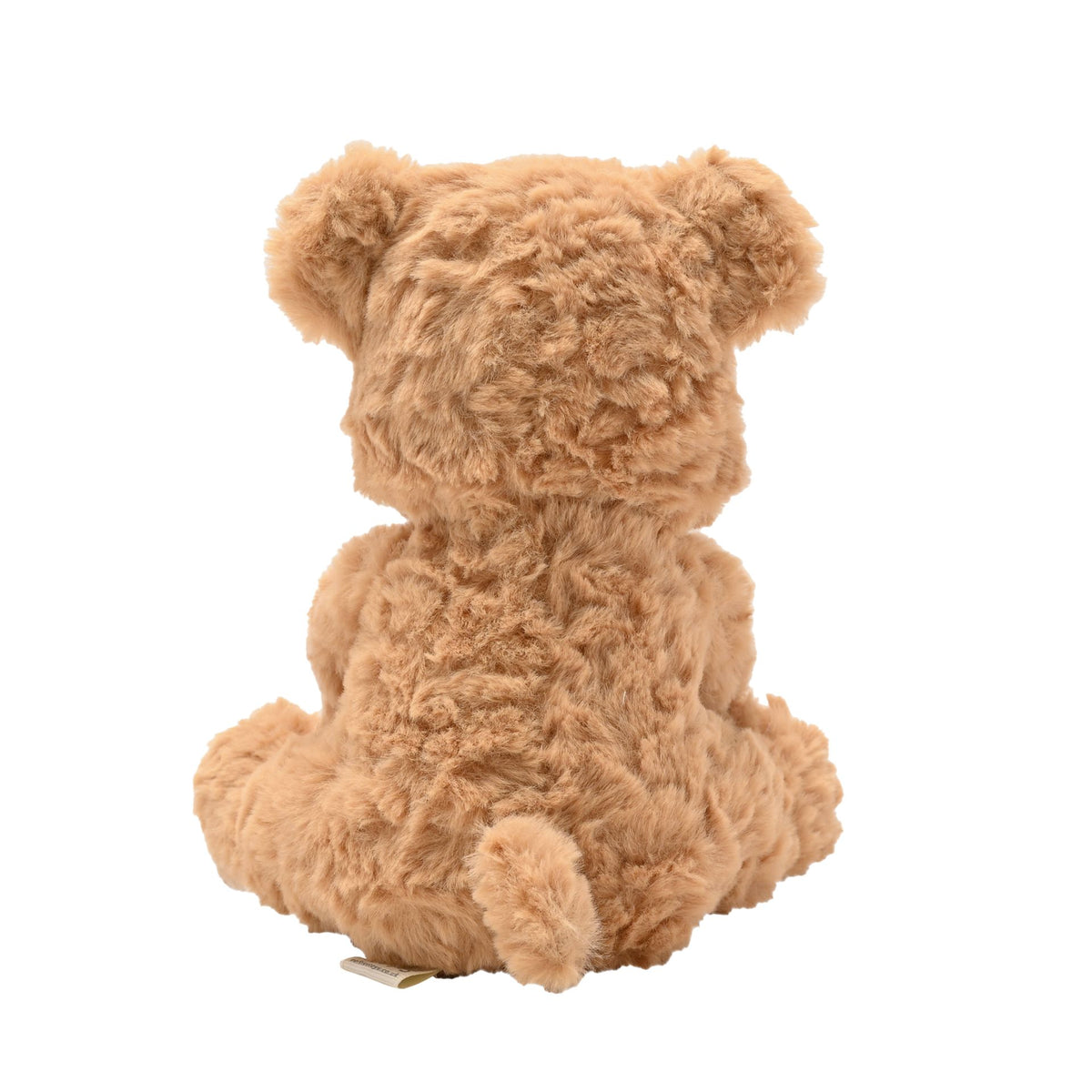WILLIAM THE TEDDY BEAR