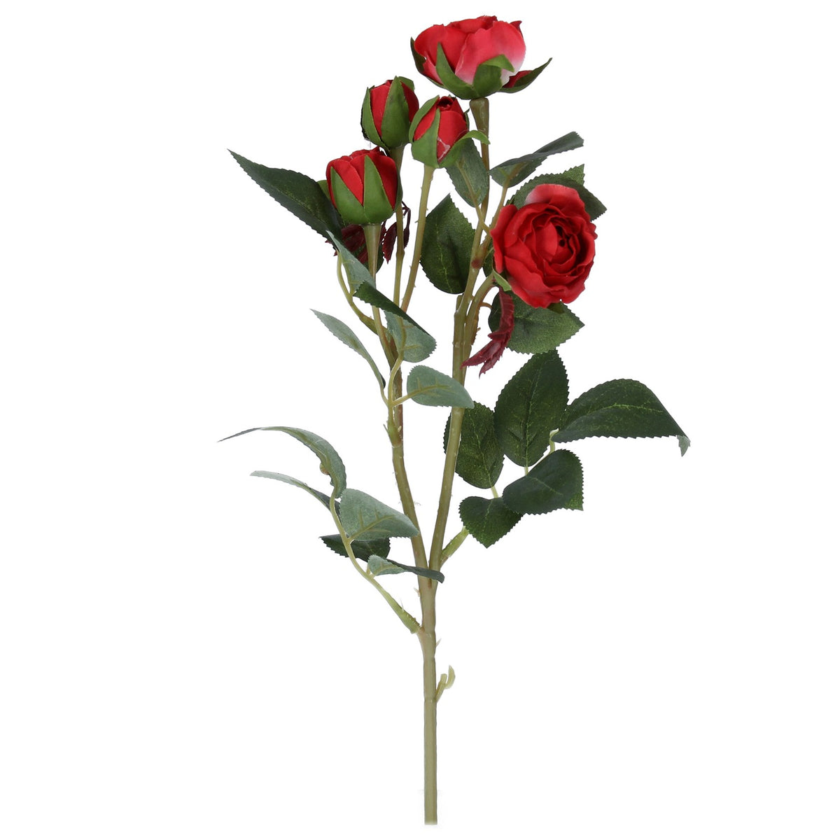 MINI ROSE BUNCH
