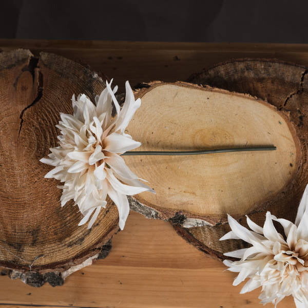 ANTIQUE CREAM DAHLIA