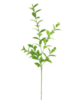 HOYA FOLIAGE FAUX FLORAL STEM