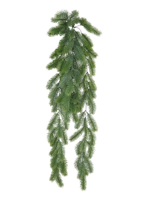 TRAILING SPRUCE