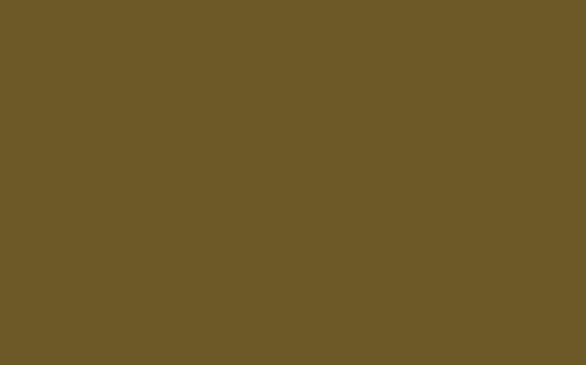 LIGHT BRONZE GREEN 123.