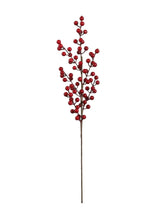 BERRY STEM - PRE-ORDER