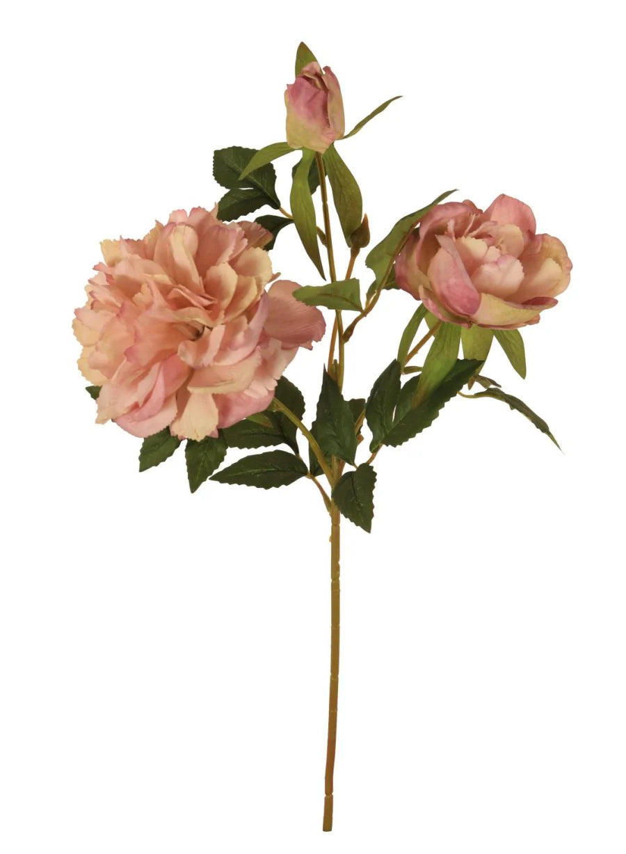 Blush pink peony faux floral stem with two open blooms and green leaves on a single long stem
