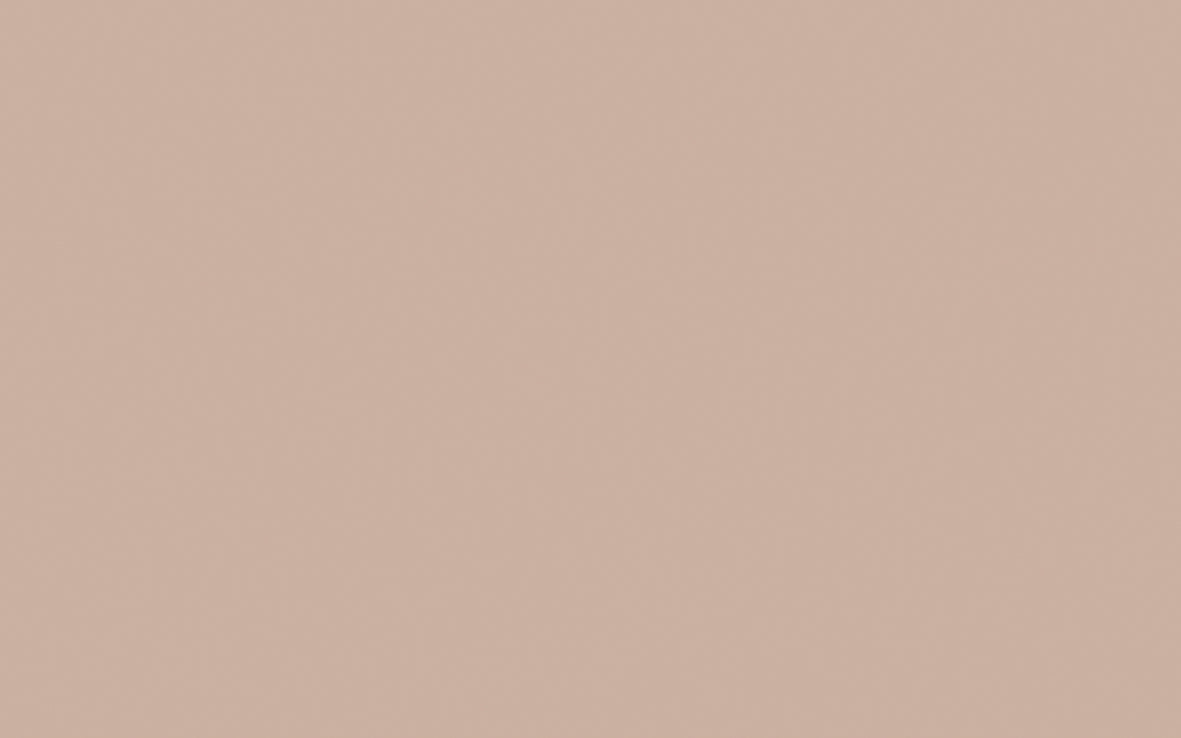 CHINA CLAY DARK 178.