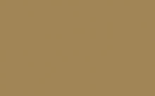 Little Greene - 36. Stone-Dark-Warm