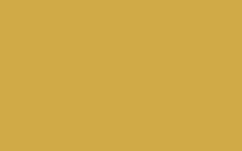 Little Greene - 46. Yellow-Pink