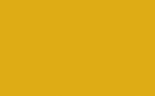 Little Greene - 47. Mister David