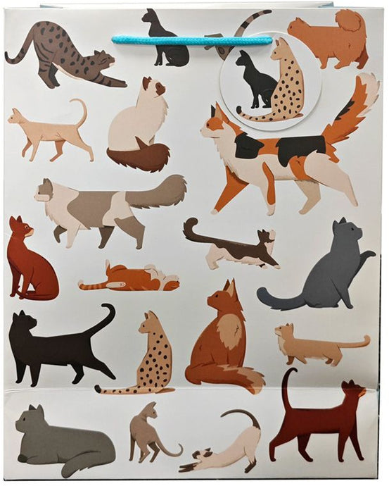 CATS GIFTBAG