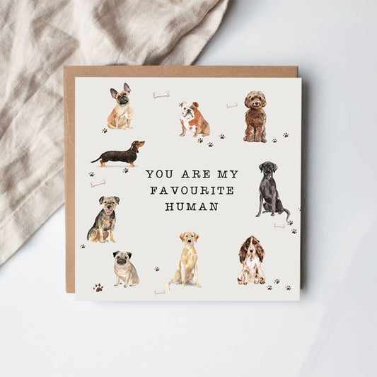 YOU ARE MY FAVOURITE HUMAN CARD