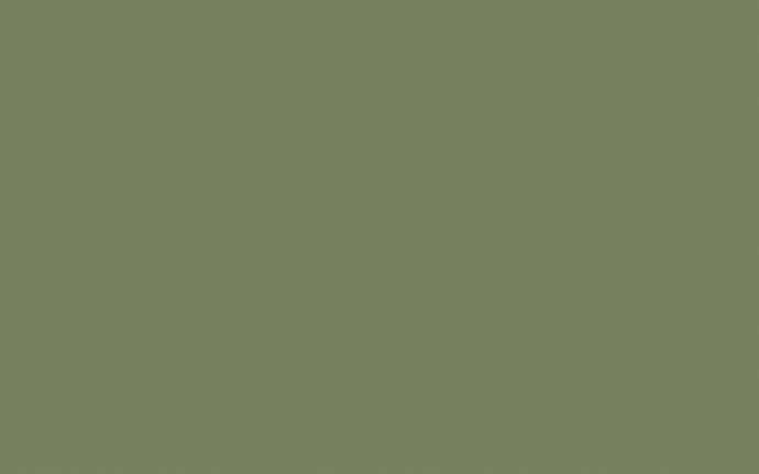 Little Greene - 80. Sage Green
