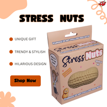 Stress Nuts | Christmas Novelty Gifts | Squishy Squeeze Toy
