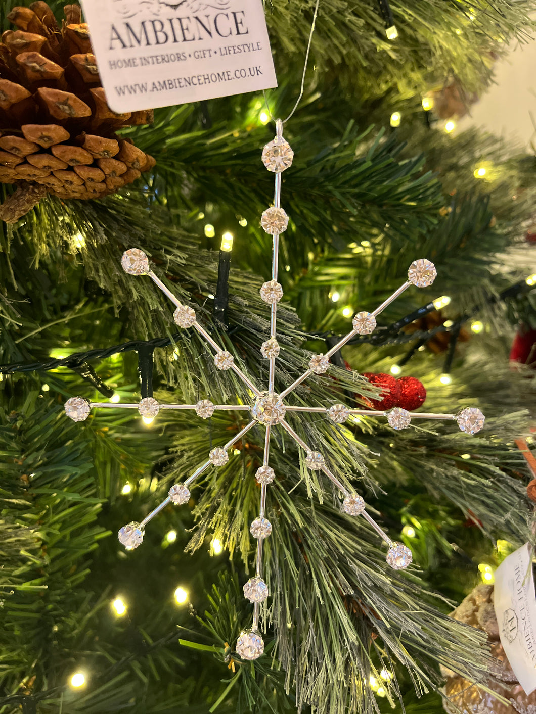 DELICATE DIAMONTE SNOWFLAKE