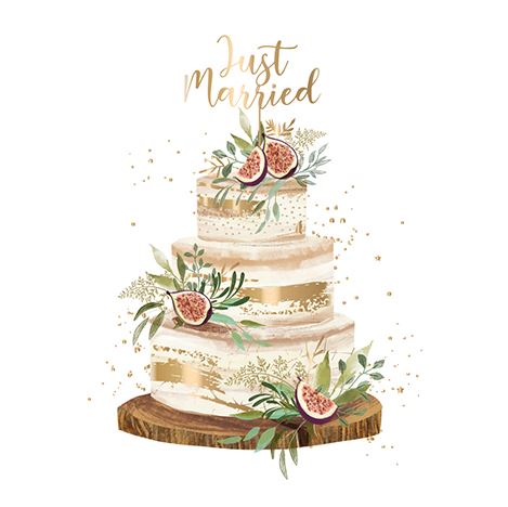JUST MARRIED CAKE CARD