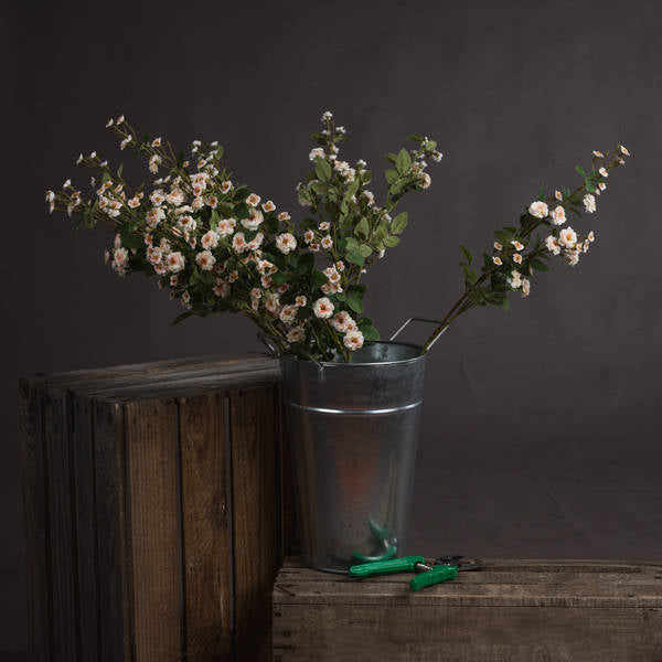 CREAM/PINK WILD MEADOW STEM