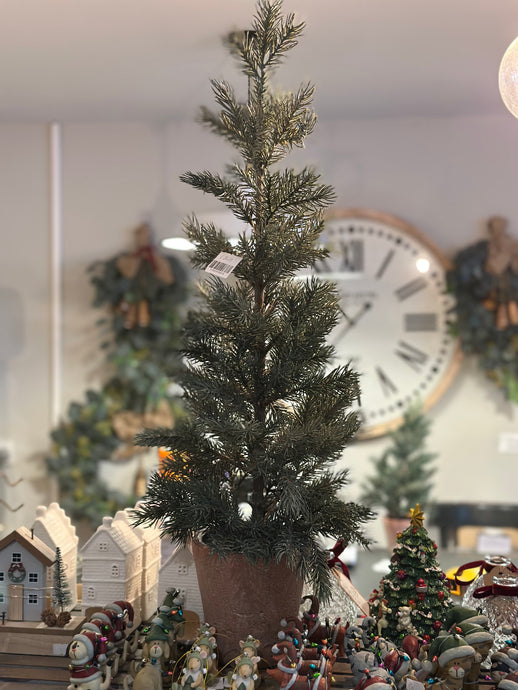PINE NEEDLE TREE IN CLAY POT LARGE