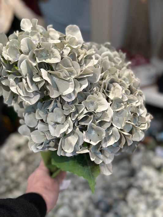SAGE GREEN HYDRANGEA BUNCH