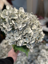 SAGE GREEN HYDRANGEA BUNCH