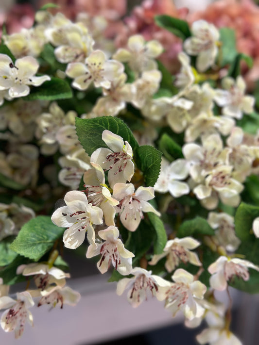 OFF WHITE HONEYSUCKLE STEM