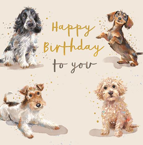 HAPPY BIRTHDAY DOGS CARD
