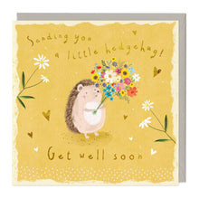 SENDING YOU A HEDGEHUG