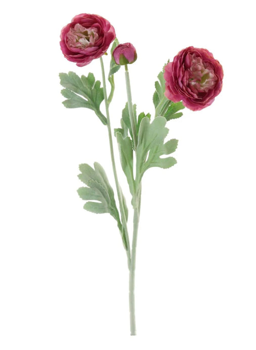 RASPBERRY PINK RANUNCULA STEM - FAUX FLORALS