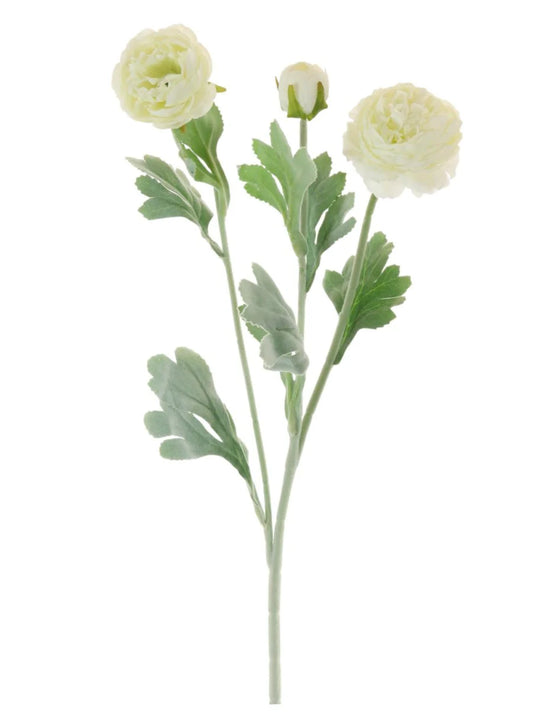 IVORY RANUNCULA STEM - FAUX FLORALS