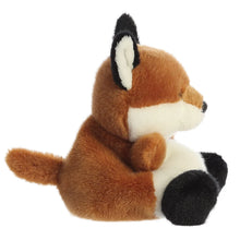 FOXY LOXY