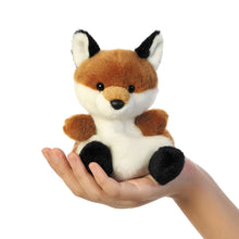 FOXY LOXY