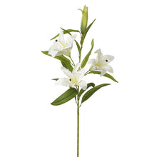 OFF WHITE FAUX STAR GAZING LILLIES