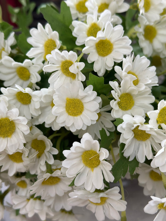 CHRYSANTHEMUM 20 FLOWERS