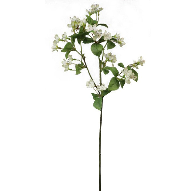 OFF WHITE HONEYSUCKLE STEM