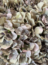 SOFT PURPLE HYDRANGEA BUNCH