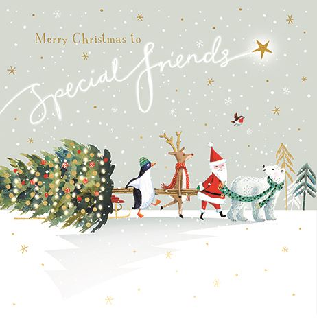 MERRY CHRISTMAS TO SPECIAL FRIENDS CARD