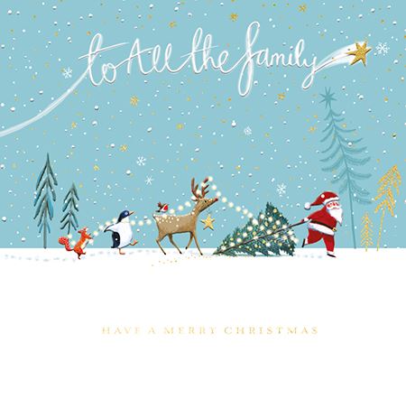 TO ALL THE FAMILY CARD