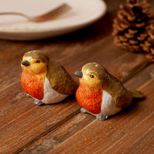 CERAMIC ROBIN SALT AND PEPPER POTS