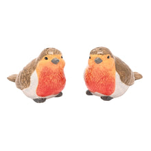 CERAMIC ROBIN SALT AND PEPPER POTS