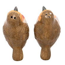 CERAMIC ROBIN SALT AND PEPPER POTS