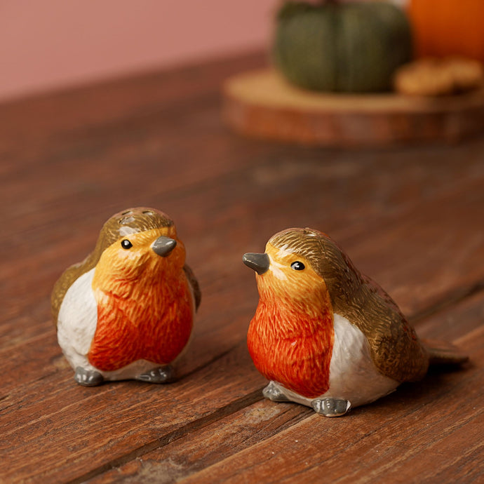 CERAMIC ROBIN SALT AND PEPPER POTS