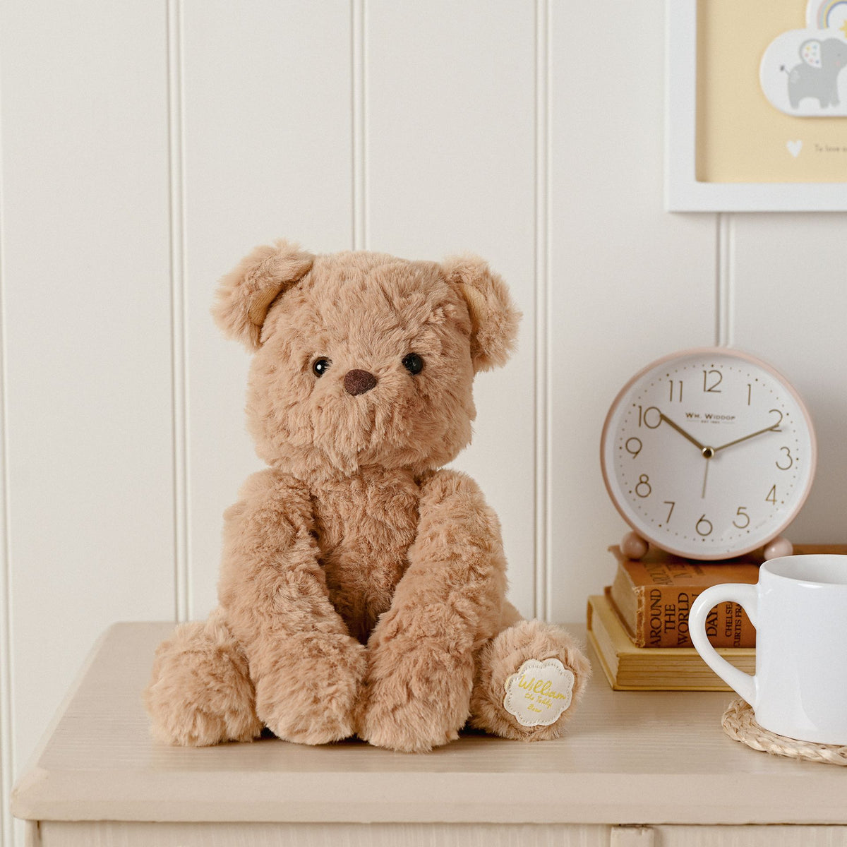 WILLIAM THE TEDDY BEAR