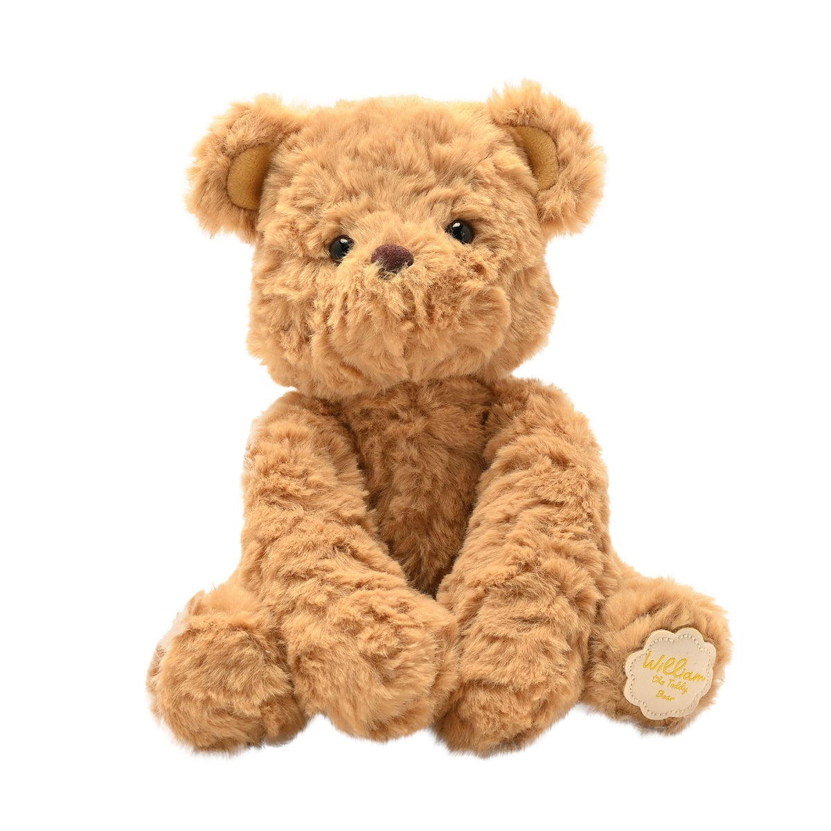 WILLIAM THE TEDDY BEAR