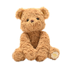 WILLIAM THE TEDDY BEAR