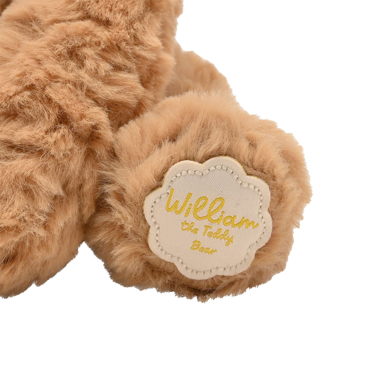 WILLIAM THE TEDDY BEAR