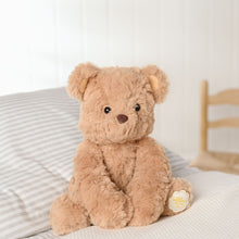 WILLIAM THE TEDDY BEAR