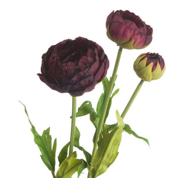 BURGANDY PEONY STEM