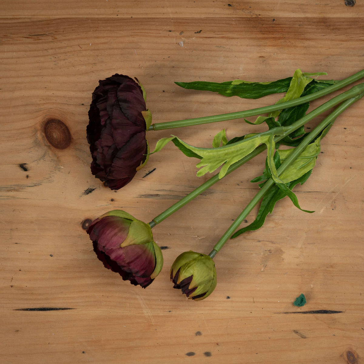 BURGANDY PEONY STEM