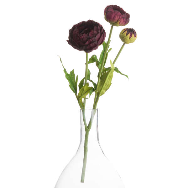BURGANDY PEONY STEM